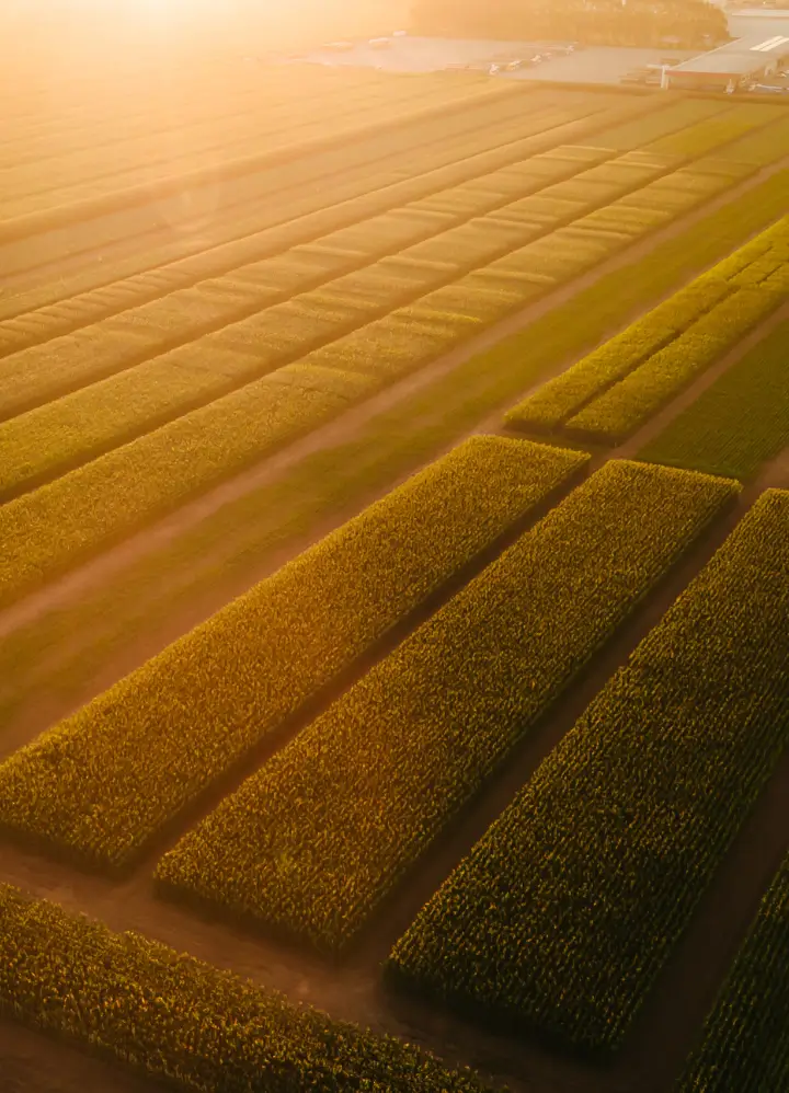Data-driven precision agriculture production management.
